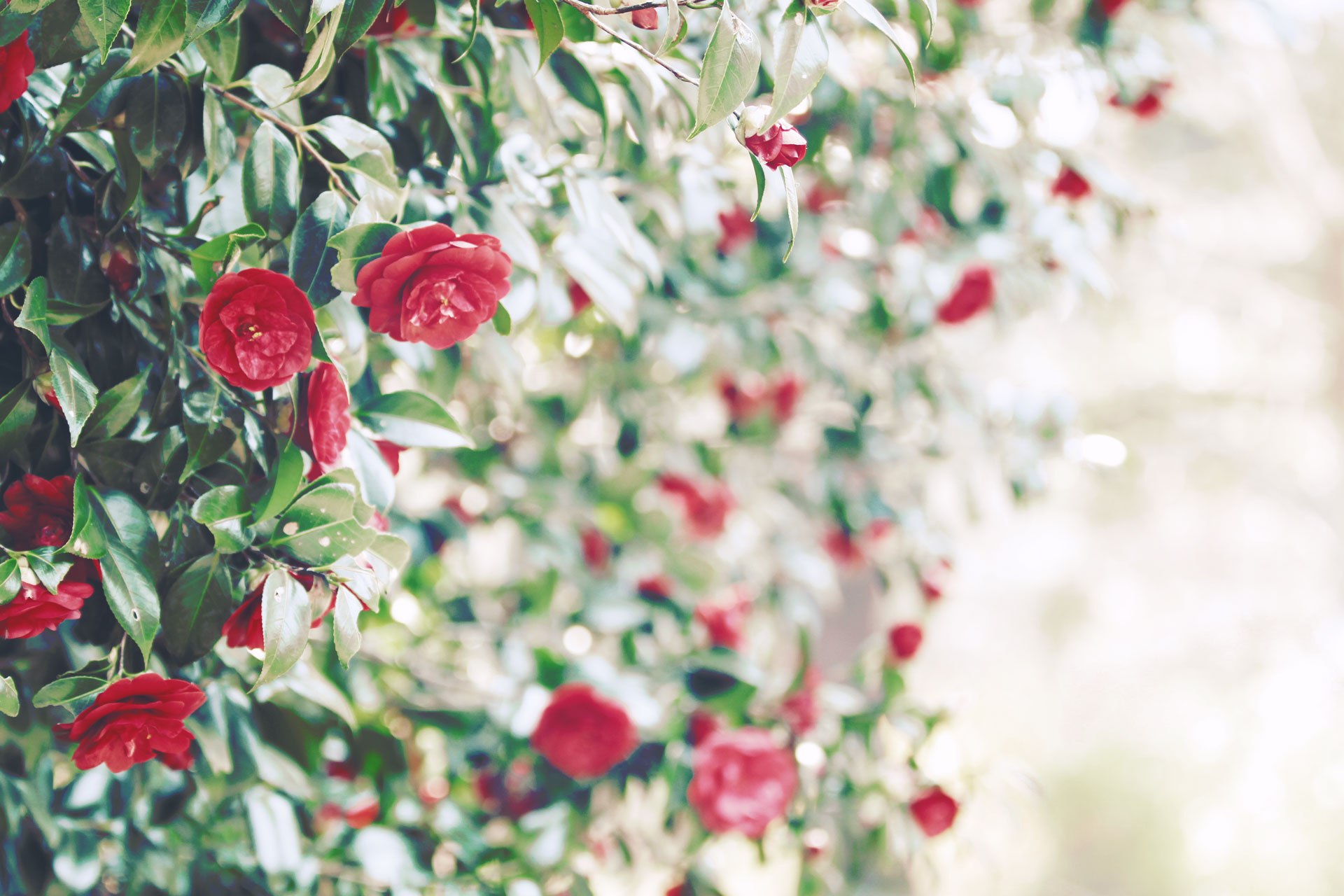 当サイトについて 当サイトについて